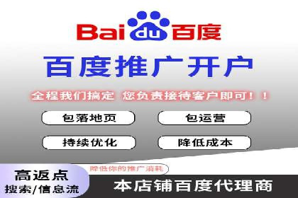 某企业通过百度推广服务费实现品牌飞跃